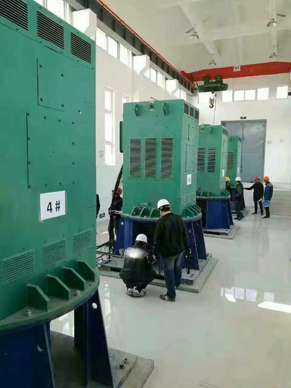 兴庆某污水处理厂使用我厂的立式高压电机安装现场现货销售
